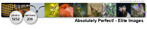 Absolutely Perfect!. Get yours at bighugelabs.com/flickr Absolutely Perfect!. Get yours at bighugelabs.com/flickr