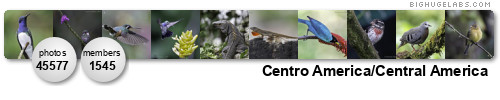CENTRO_AMERICA. Get yours at bighugelabs.com/flickr