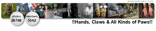 Hands, Claws and All Kinds of Paws!. Get yours at bighugelabs.com/flickr