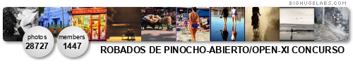 ROBADOS DE PINOCHO - VOTAD-VOTE ! 1er Concurso abierto/1st Chall. Get yours at bighugelabs.com/flickr ROBADOS DE PINOCHO - VOTAD-VOTE ! 1er Concurso abierto/1st Chall. Get yours at bighugelabs.com/flickr