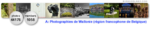 Wallonie terre d'accueil