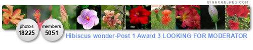 HIbiscus Wonder Post 1 Award 3. Get yours at bighugelabs.com/flickr HIbiscus Wonder Post 1 Award 3. Get yours at bighugelabs.com/flickr