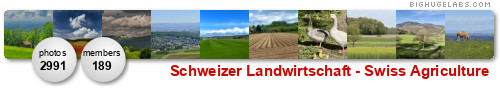 Schweizer Landwirtschaft. Get yours at bighugelabs.com/flickr Schweizer Landwirtschaft. Get yours at bighugelabs.com/flickr