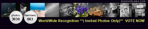WorldWide Recognition **( Invited Photos Only)**. Get yours at bighugelabs.com/flickr