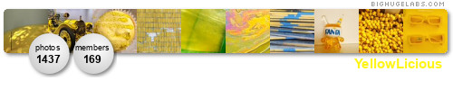 YellowLicious. Get yours at bighugelabs.com/flickr YellowLicious. Get yours at bighugelabs.com/flickr