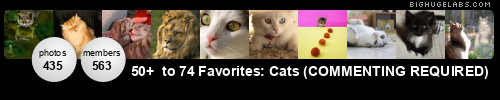 50+  to 74 Favorites: Cats (Commenting Required). Get yours at bighugelabs.com/flickr
