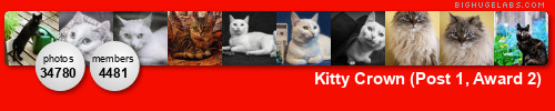 Kitty Crown (Post 1, Award 2). Get yours at bighugelabs.com/flickr