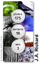 J.A. Richard. Get yours at bighugelabs.com/flickr