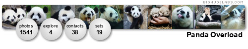 Panda Overload. Get yours at bighugelabs.com/flickr