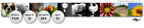 ~fb~. Get yours at bighugelabs.com/flickr