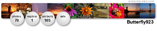 Butterfly923. Get yours at bighugelabs.com/flickr