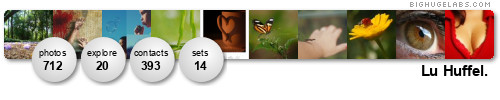 lu_huffel. Get yours at bighugelabs.com/flickr