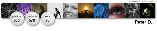 Peter D... Get yours at bighugelabs.com/flickr Peter D... Get yours at bighugelabs.com/flickr