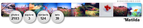 matilda75. Get yours at bighugelabs.com/flickr matilda75. Get yours at bighugelabs.com/flickr