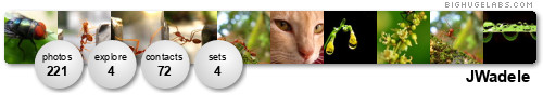 JWadele. Get yours at bighugelabs.com/flickr JWadele. Get yours at bighugelabs.com/flickr