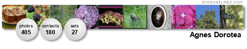 Agnes Dorotea. Get yours at bighugelabs.com/flickr