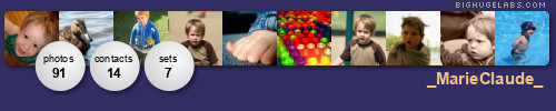 http://bighugelabs.com/flickr/profilewidget/interesting/F2C37D/322D63/8203061@N08.jpg