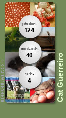 Cat Guerreiro. Get yours at bighugelabs.com/flickr
