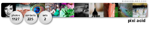 pixieacid. Get yours at bighugelabs.com/flickr