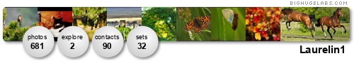 Laurelin1. Get yours at bighugelabs.com/flickr Laurelin1. Get yours at bighugelabs.com/flickr