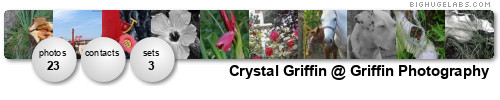 Crystal Griffin @ Griffin Photography. Get yours at bighugelabs.com/flickr