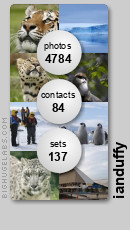 flickr widget for myspace - from bighugelabs.com/flickr
