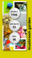 mushroom garden. Get yours at bighugelabs.com/flickr mushroom garden. Get yours at bighugelabs.com/flickr