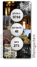 Weingarten. Get yours at bighugelabs.com/flickr