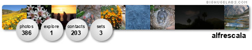 alfrescala. Get yours at bighugelabs.com/flickr alfrescala. Get yours at bighugelabs.com/flickr