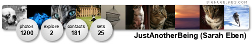 JustAnotherBeing. Get yours at bighugelabs.com/flickr