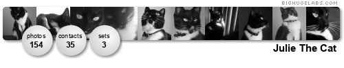 Julie The Cat. Get yours at bighugelabs.com/flickr Julie The Cat. Get yours at bighugelabs.com/flickr