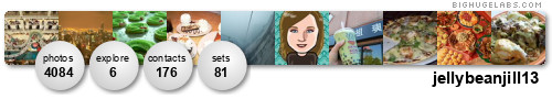 jellybeanjill13. Get yours at bighugelabs.com/flickr