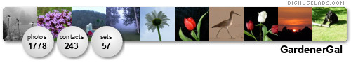 GardenerGal. Get yours at bighugelabs.com/flickr
