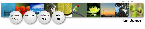 ifijay. Get yours at bighugelabs.com/flickr ifijay. Get yours at bighugelabs.com/flickr