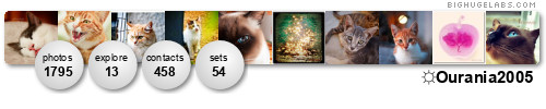 mimaki93. Get yours at bighugelabs.com/flickr