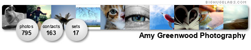 Amylady Photography. Get yours at bighugelabs.com/flickr