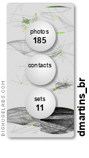 dmartins_br. Get yours at bighugelabs.com/flickr