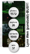 pandadd. Get yours at bighugelabs.com/flickr