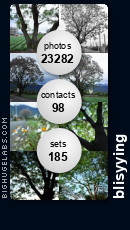 blisyying. Get yours at bighugelabs.com/flickr blisyying. Get yours at bighugelabs.com/flickr