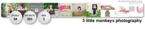 3 little monkeys photography. Get yours at bighugelabs.com/flickr 3 little monkeys photography. Get yours at bighugelabs.com/flickr