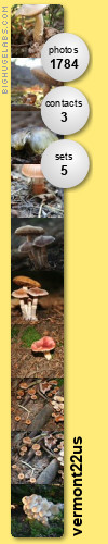 Check out my pictures at Flickr.com!!!