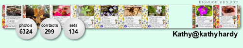 Kathy@dornickdesigns. Get yours at bighugelabs.com/flickr Kathy@dornickdesigns. Get yours at bighugelabs.com/flickr