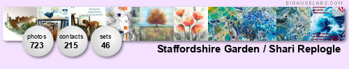 Staffordshire Garden. Get yours at bighugelabs.com/flickr