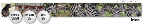 lrice. Get yours at bighugelabs.com/flickr lrice. Get yours at bighugelabs.com/flickr