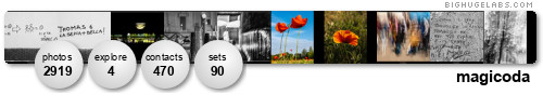 magicoda. Get yours at bighugelabs.com/flickr magicoda. Get yours at bighugelabs.com/flickr