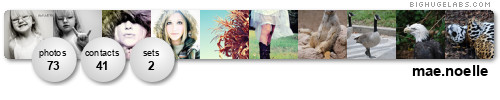 mae.noelle. Get yours at bighugelabs.com/flickr
