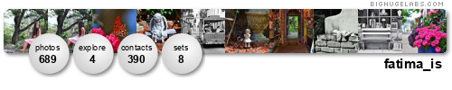 fatima_is. Get yours at bighugelabs.com/flickr