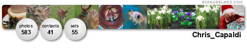 Chris_Capaldi. Get yours at bighugelabs.com/flickr Chris_Capaldi. Get yours at bighugelabs.com/flickr