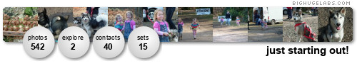 just starting out!. Get yours at bighugelabs.com/flickr just starting out!. Get yours at bighugelabs.com/flickr