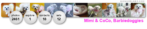 Mimi & CoCo, Barbiedoggies. Get yours at bighugelabs.com/flickr